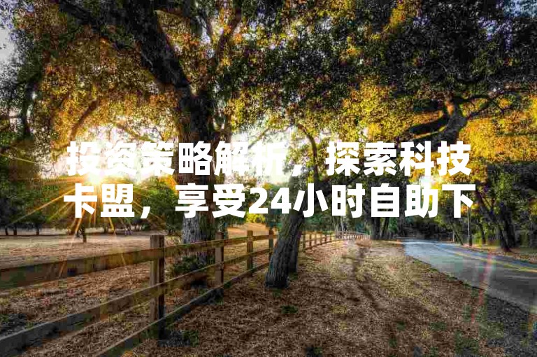 投资策略解析，探索科技卡盟，享受24小时自助下单服务。