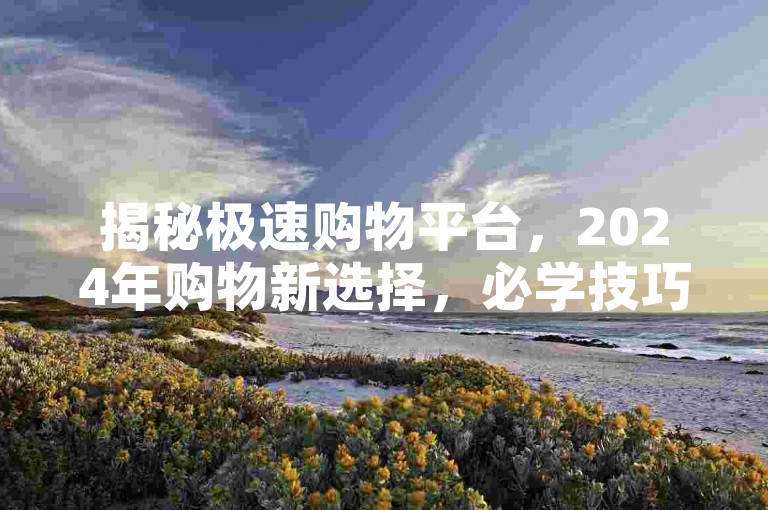 揭秘极速购物平台，2024年购物新选择，必学技巧！