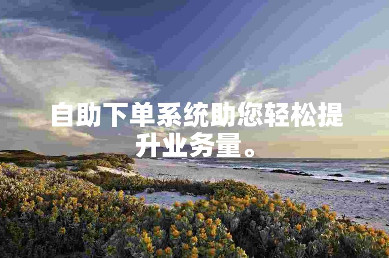 自助下单系统助您轻松提升业务量。