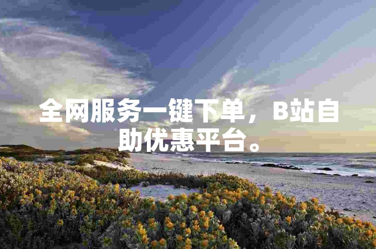 全网服务一键下单，B站自助优惠平台。