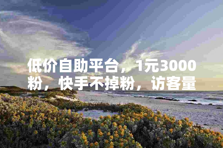 低价自助平台，1元3000粉，快手不掉粉，访客量提升。