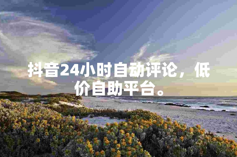 抖音24小时自动评论，低价自助平台。