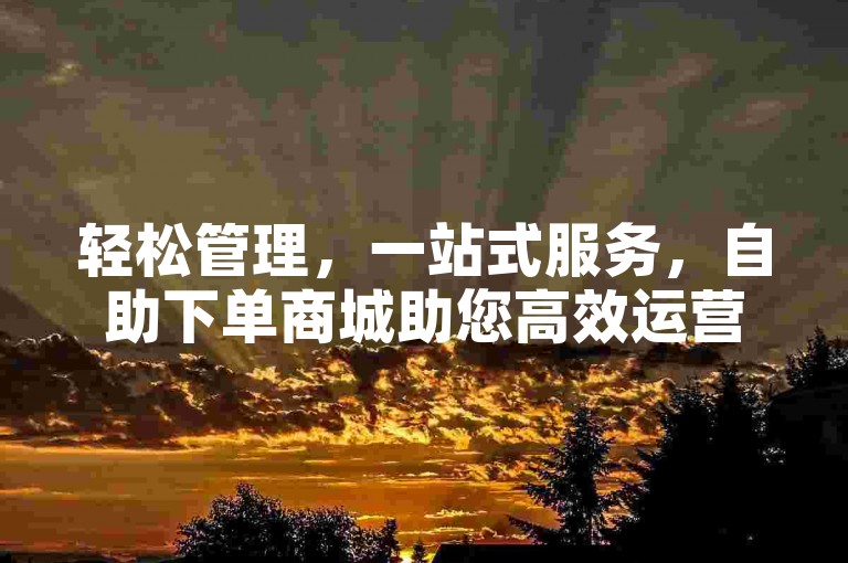 轻松管理，一站式服务，自助下单商城助您高效运营。