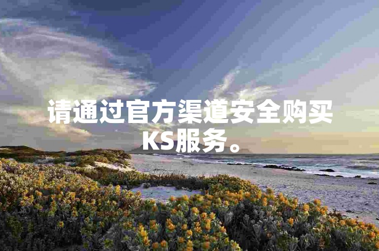 请通过官方渠道安全购买KS服务。