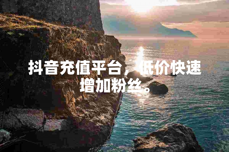 抖音充值平台，低价快速增加粉丝。
