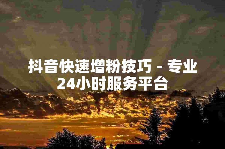 抖音快速增粉技巧 - 专业24小时服务平台