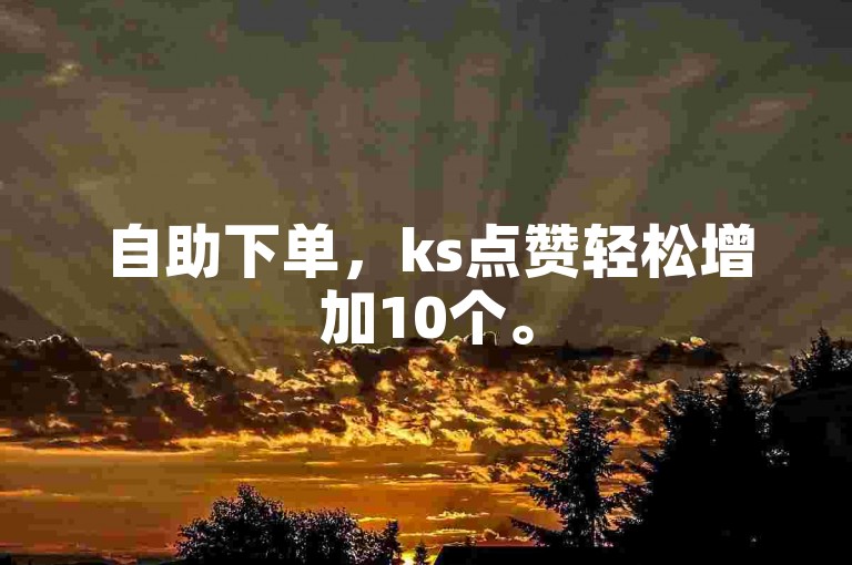 自助下单，ks点赞轻松增加10个。