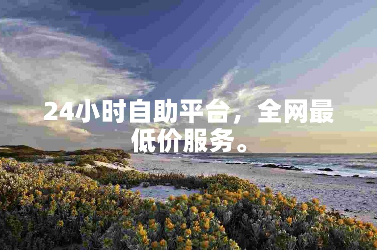 24小时自助平台，全网最低价服务。