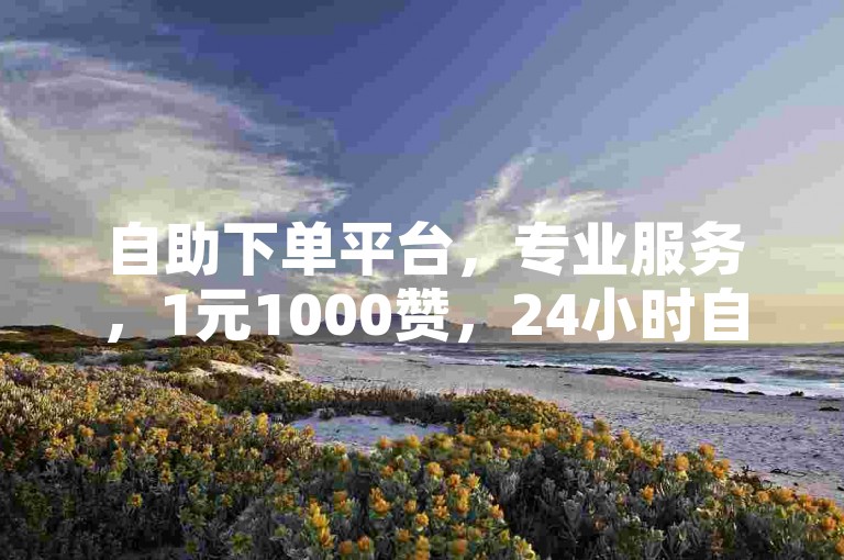 自助下单平台，专业服务，1元1000赞，24小时自助点赞。