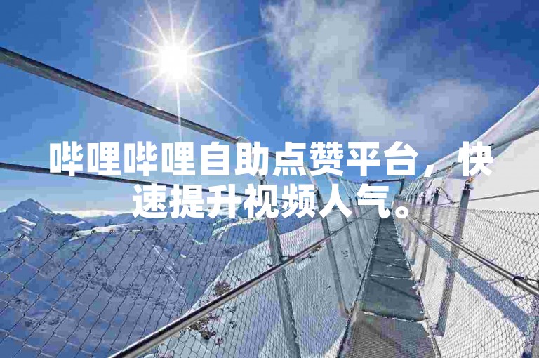 哔哩哔哩自助点赞平台，快速提升视频人气。