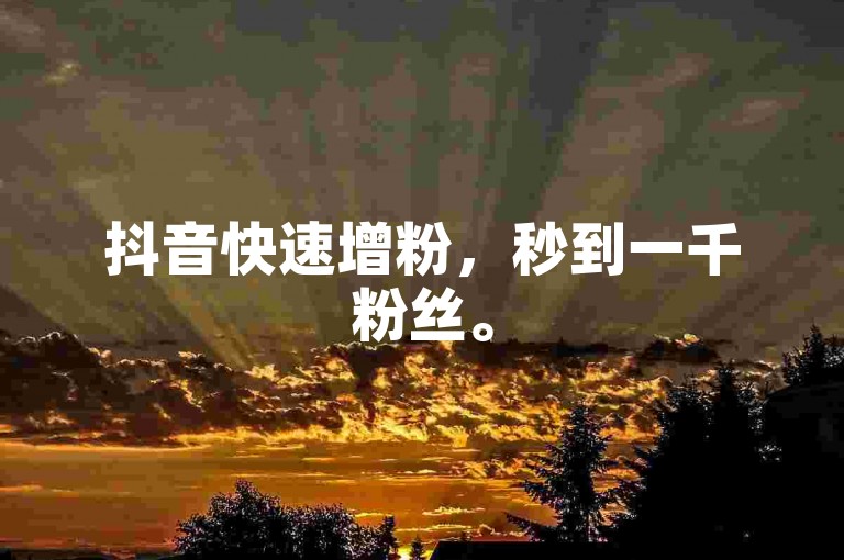 抖音快速增粉，秒到一千粉丝。