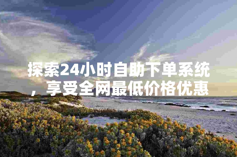 探索24小时自助下单系统，享受全网最低价格优惠。