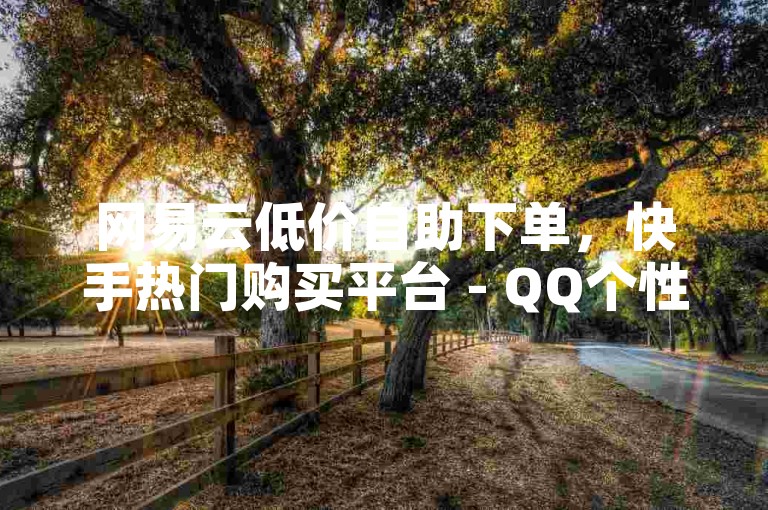 网易云低价自助下单，快手热门购买平台 - QQ个性标签点赞网址