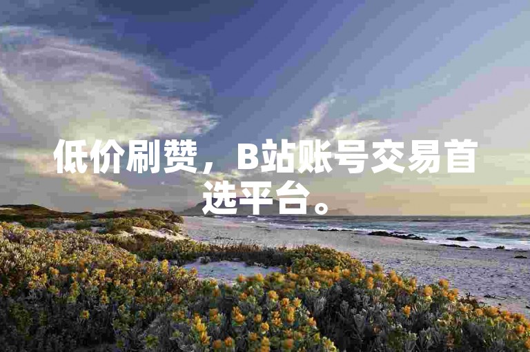 低价刷赞，B站账号交易首选平台。