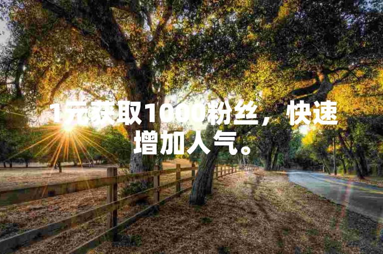 1元获取1000粉丝，快速增加人气。
