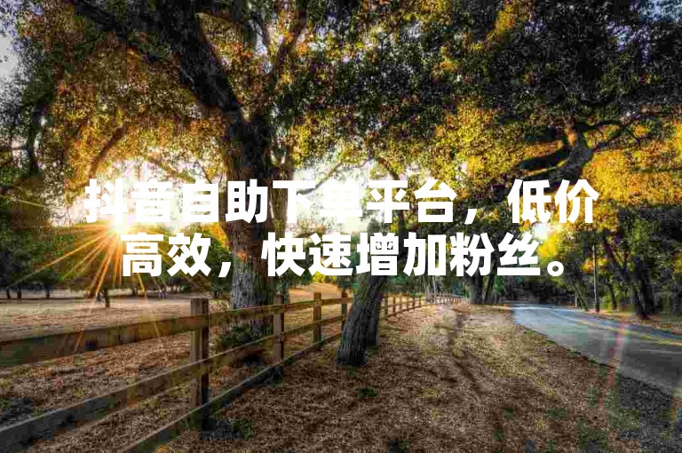抖音自助下单平台，低价高效，快速增加粉丝。