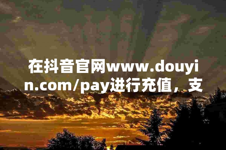 在抖音官网www.douyin.com/pay进行充值，支持微信、支付宝等多种支付方式。