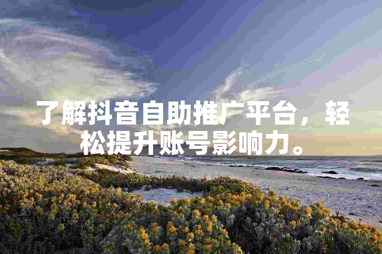 了解抖音自助推广平台，轻松提升账号影响力。