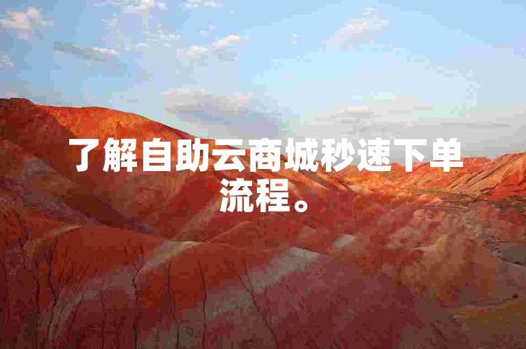 了解自助云商城秒速下单流程。