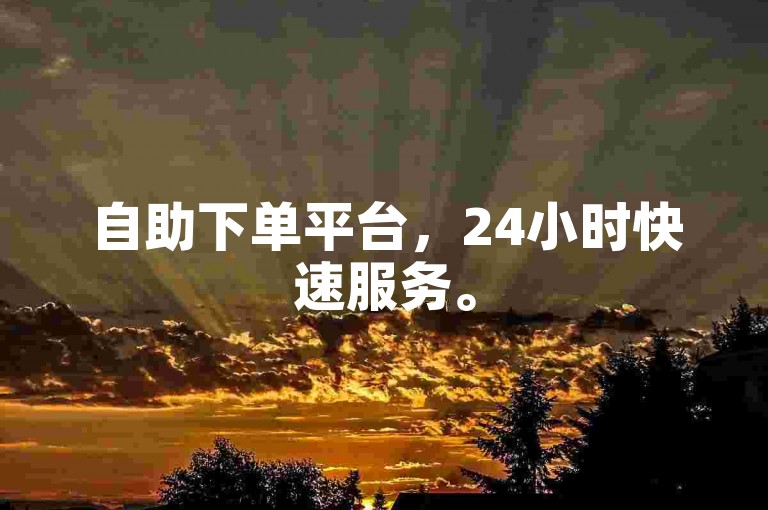 自助下单平台，24小时快速服务。