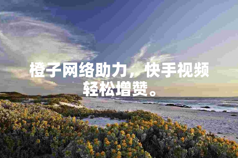 橙子网络助力，快手视频轻松增赞。