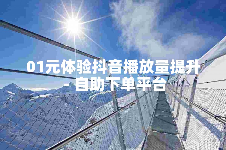 01元体验抖音播放量提升 - 自助下单平台