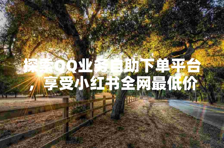 探索QQ业务自助下单平台，享受小红书全网最低价的便捷服务。