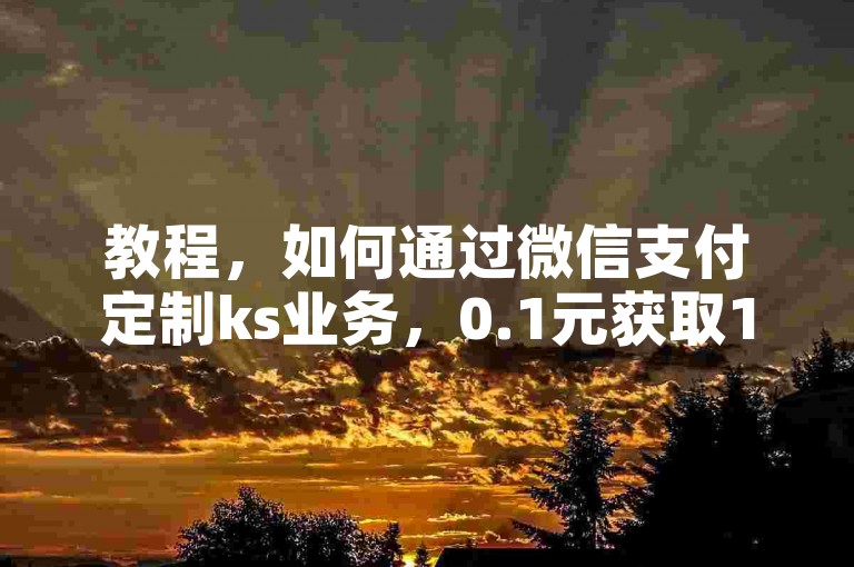 教程，如何通过微信支付定制ks业务，0.1元获取1万赞。