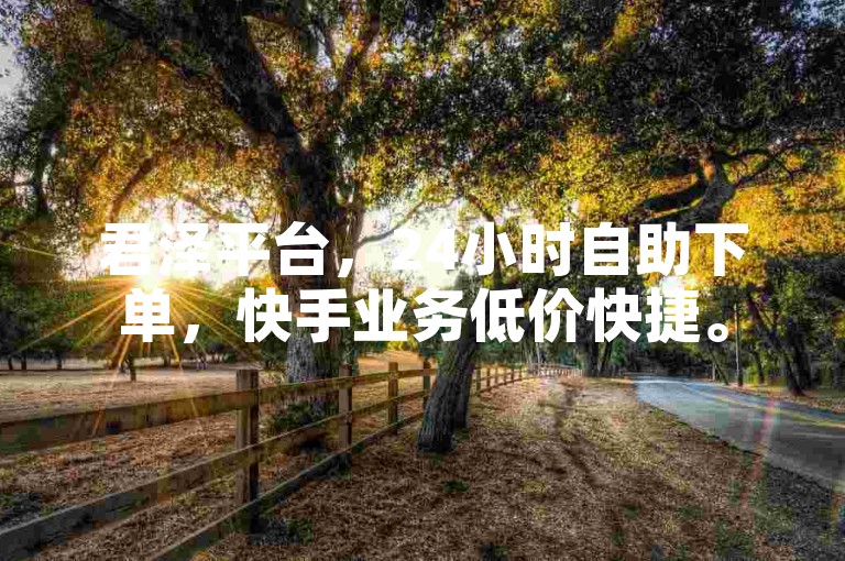 君泽平台，24小时自助下单，快手业务低价快捷。