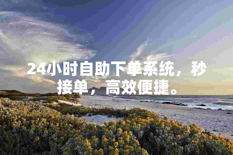24小时自助下单系统，秒接单，高效便捷。