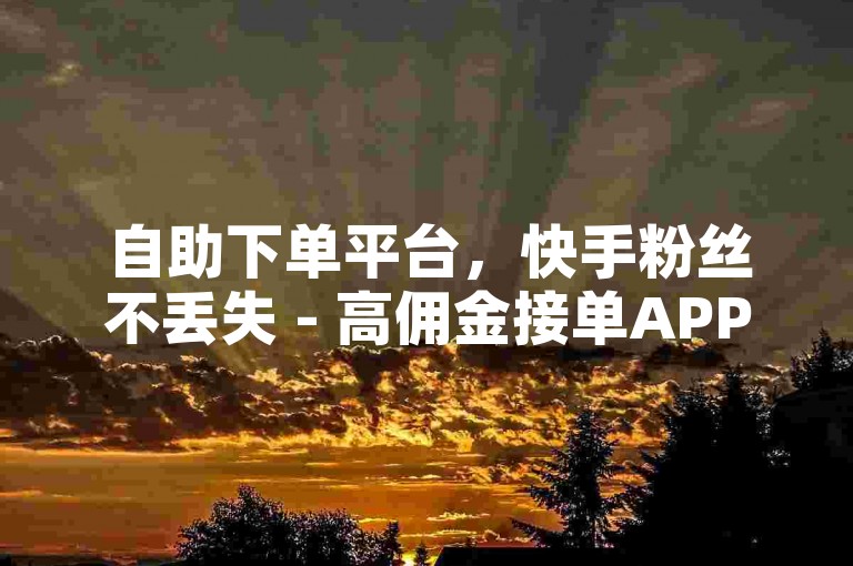 自助下单平台，快手粉丝不丢失 - 高佣金接单APP