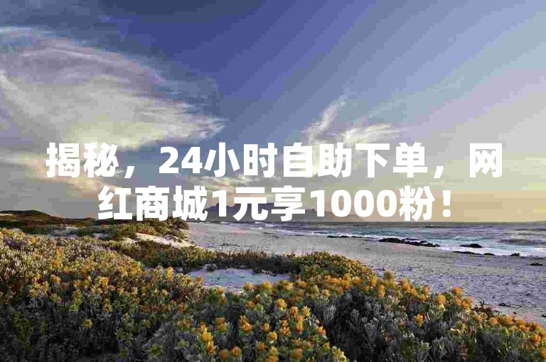 揭秘，24小时自助下单，网红商城1元享1000粉！