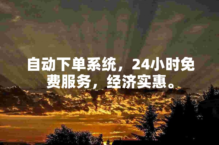 自动下单系统，24小时免费服务，经济实惠。
