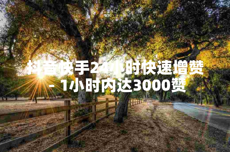 抖音快手24小时快速增赞 - 1小时内达3000赞