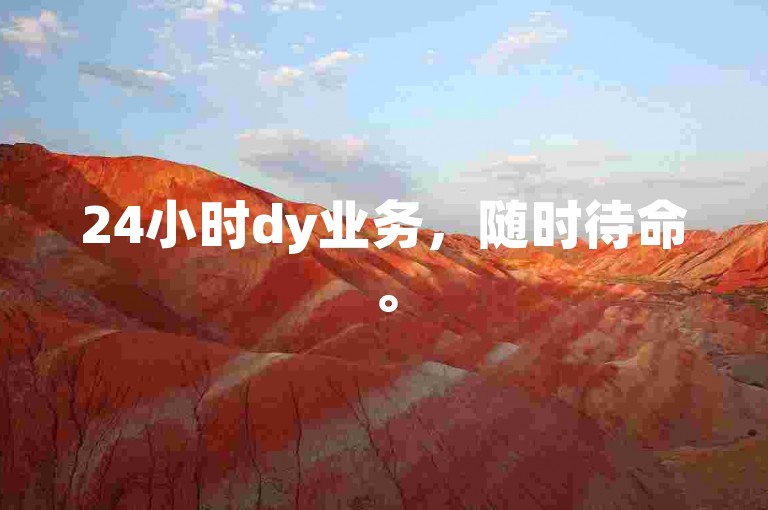 24小时dy业务，随时待命。