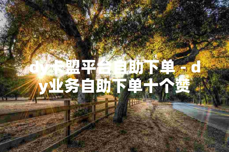 dy卡盟平台自助下单 - dy业务自助下单十个赞