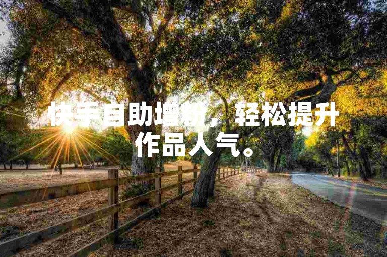 快手自助增粉，轻松提升作品人气。