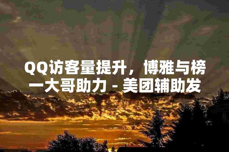 QQ访客量提升，博雅与榜一大哥助力 - 美团辅助发卡网 - 每日免费领取赞。