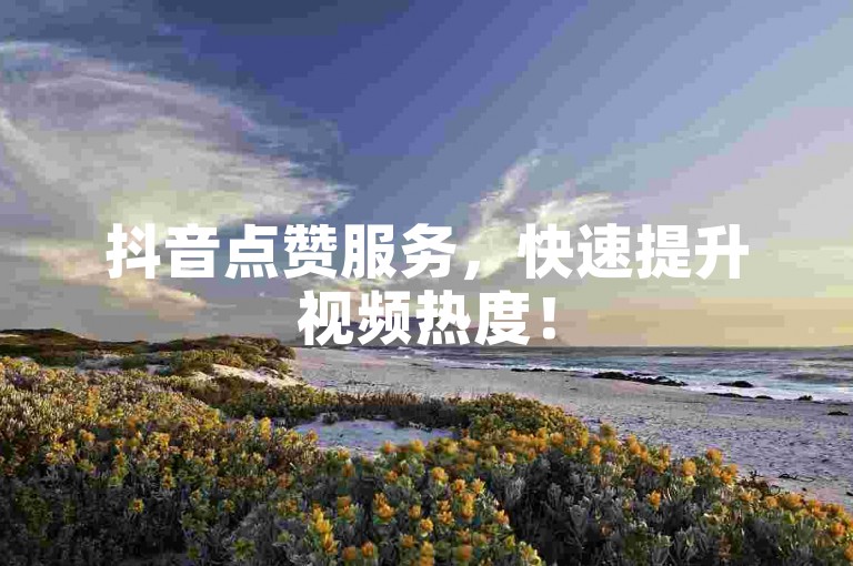 抖音点赞服务，快速提升视频热度！