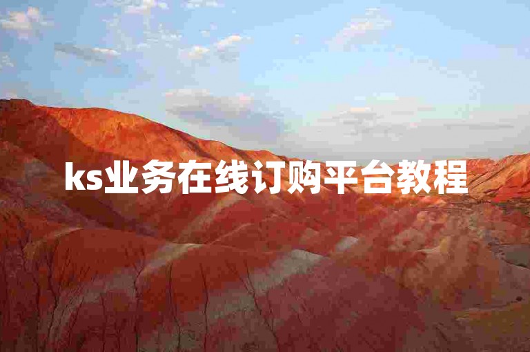 ks业务在线订购平台教程