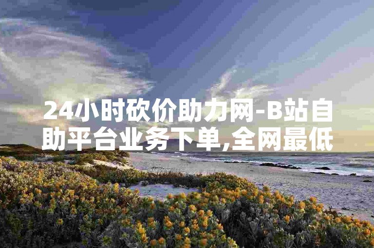 24小时砍价助力网-B站自助平台业务下单,全网最低价24小时自助下单软件。