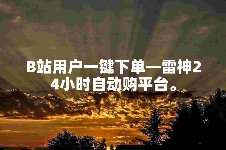 B站用户一键下单—雷神24小时自动购平台。