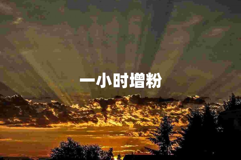 一小时增粉500，直播人气自助涨粉服务。