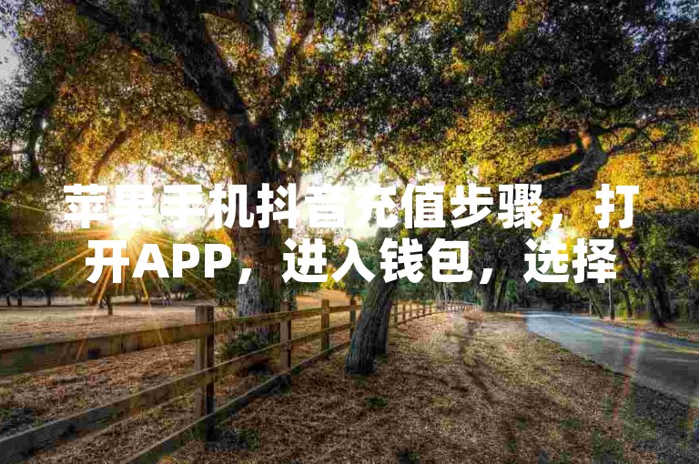苹果手机抖音充值步骤，打开APP，进入钱包，选择充值方式并支付。