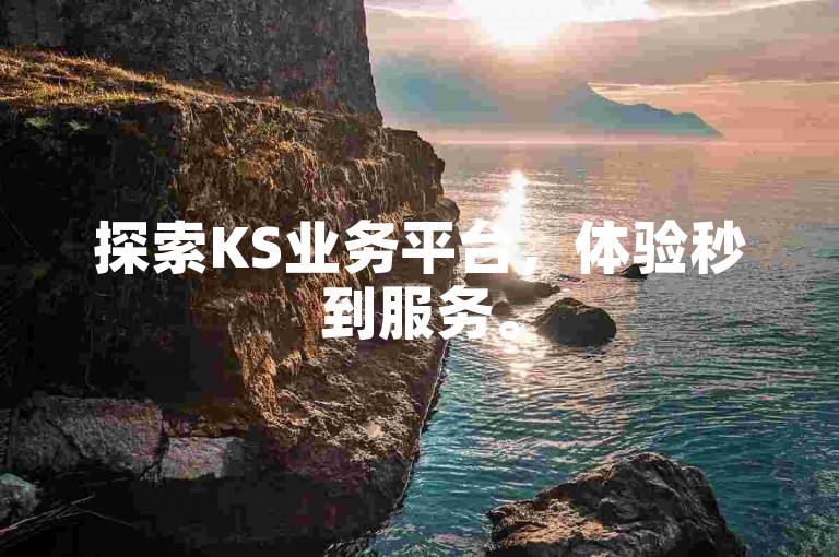 探索KS业务平台，体验秒到服务。