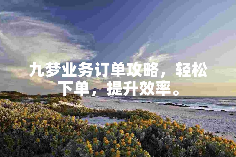 九梦业务订单攻略，轻松下单，提升效率。