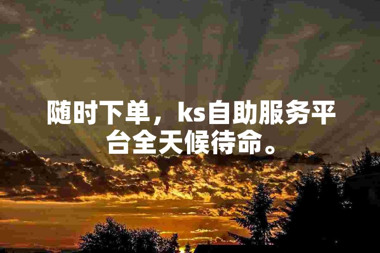 随时下单，ks自助服务平台全天候待命。