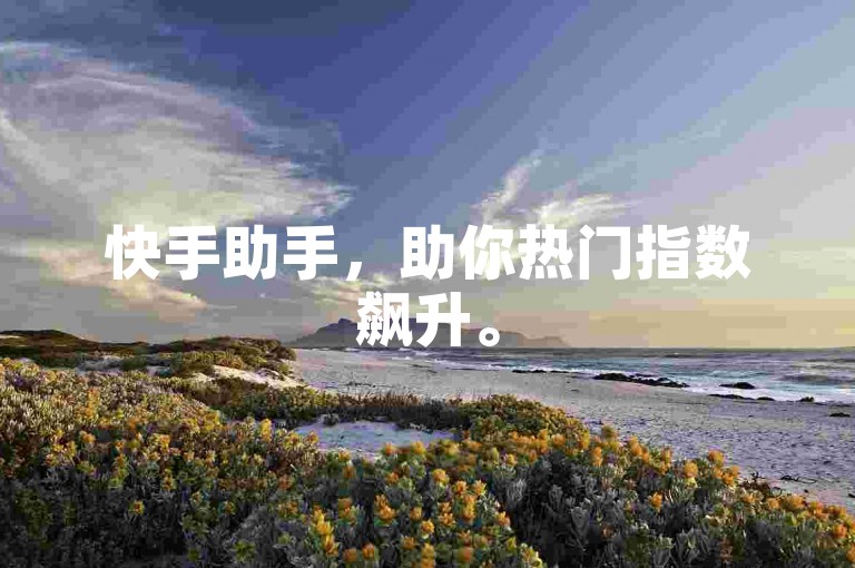 快手助手，助你热门指数飙升。
