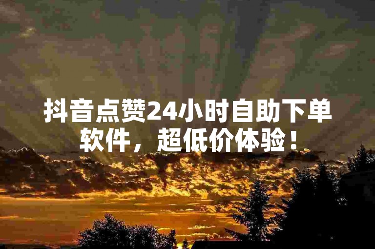 抖音点赞24小时自助下单软件，超低价体验！