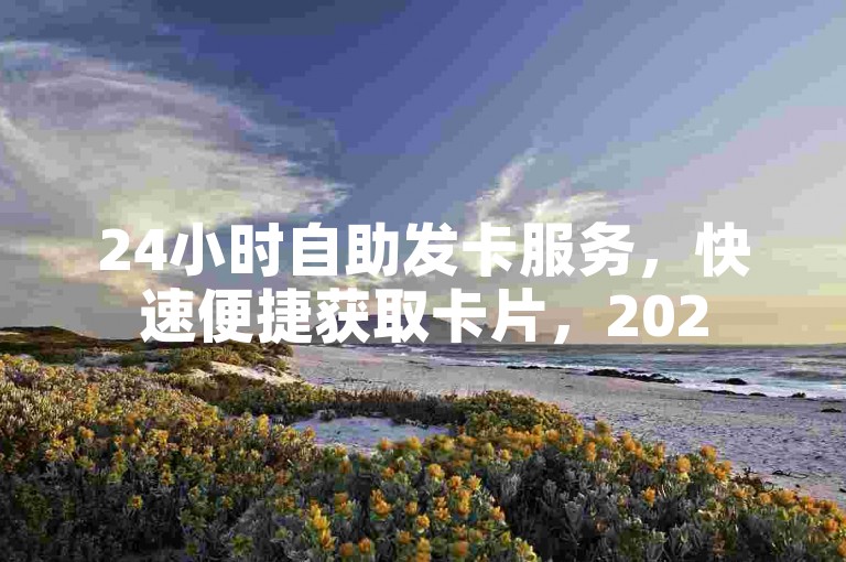 24小时自助发卡服务，快速便捷获取卡片，2025必备技能！
